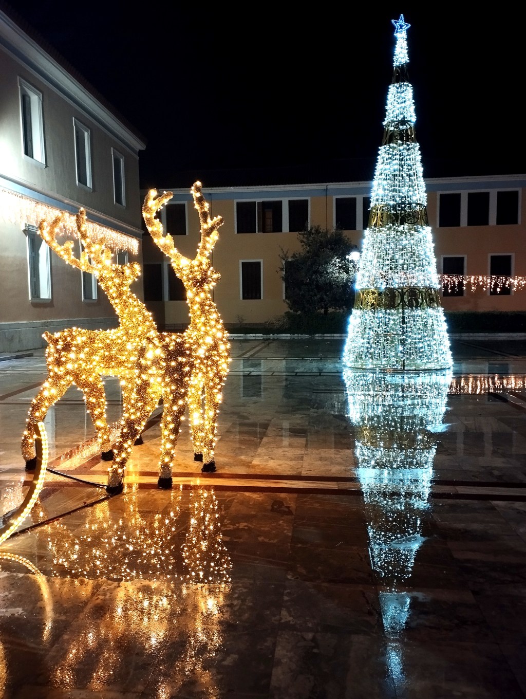 Über die Kunst, Fragen zu stellen: Reise durch ein verunsichertes&nbsp;Land